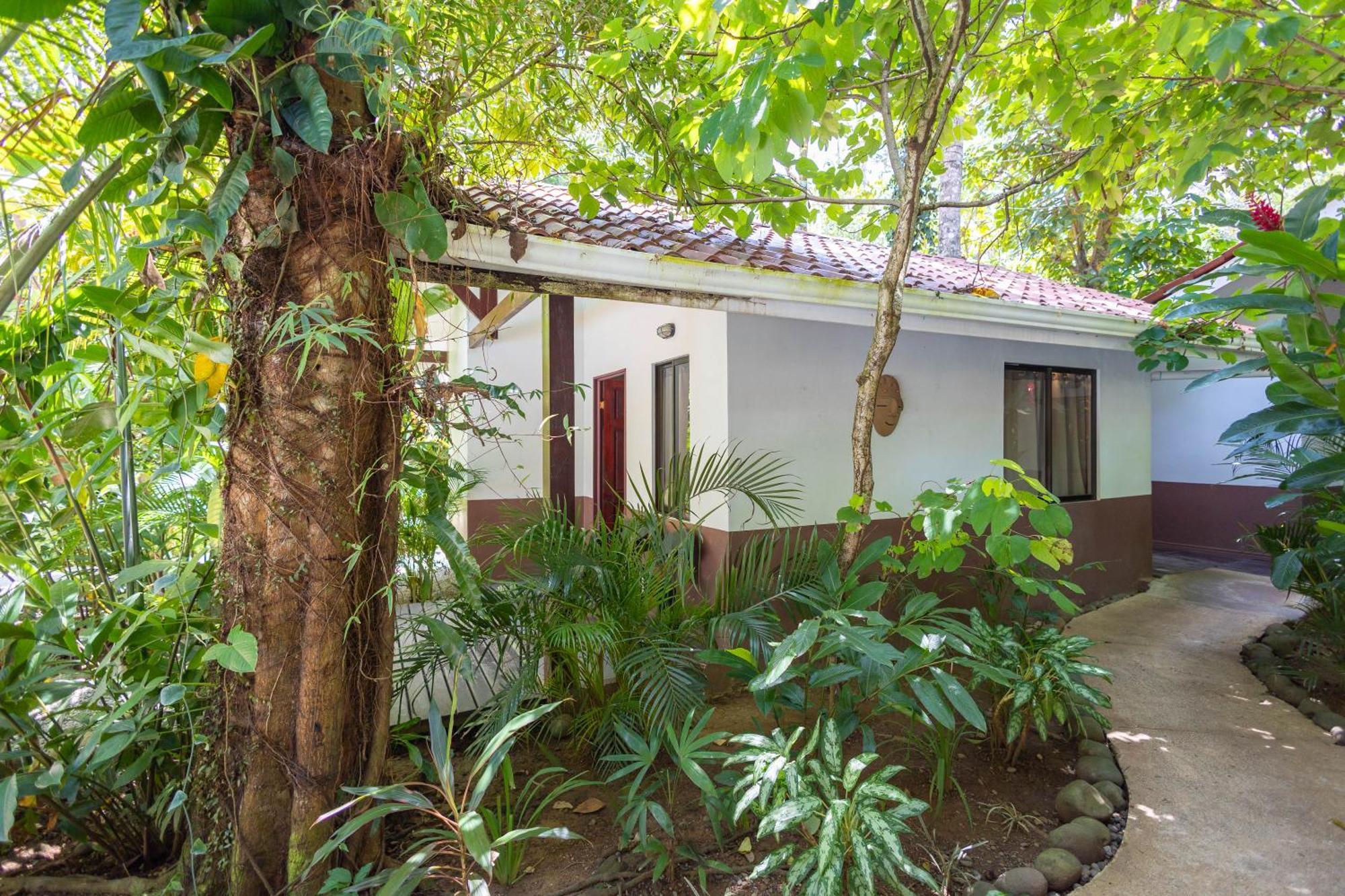 Bambutel Cocles Otel Puerto Viejo de Talamanca Dış mekan fotoğraf